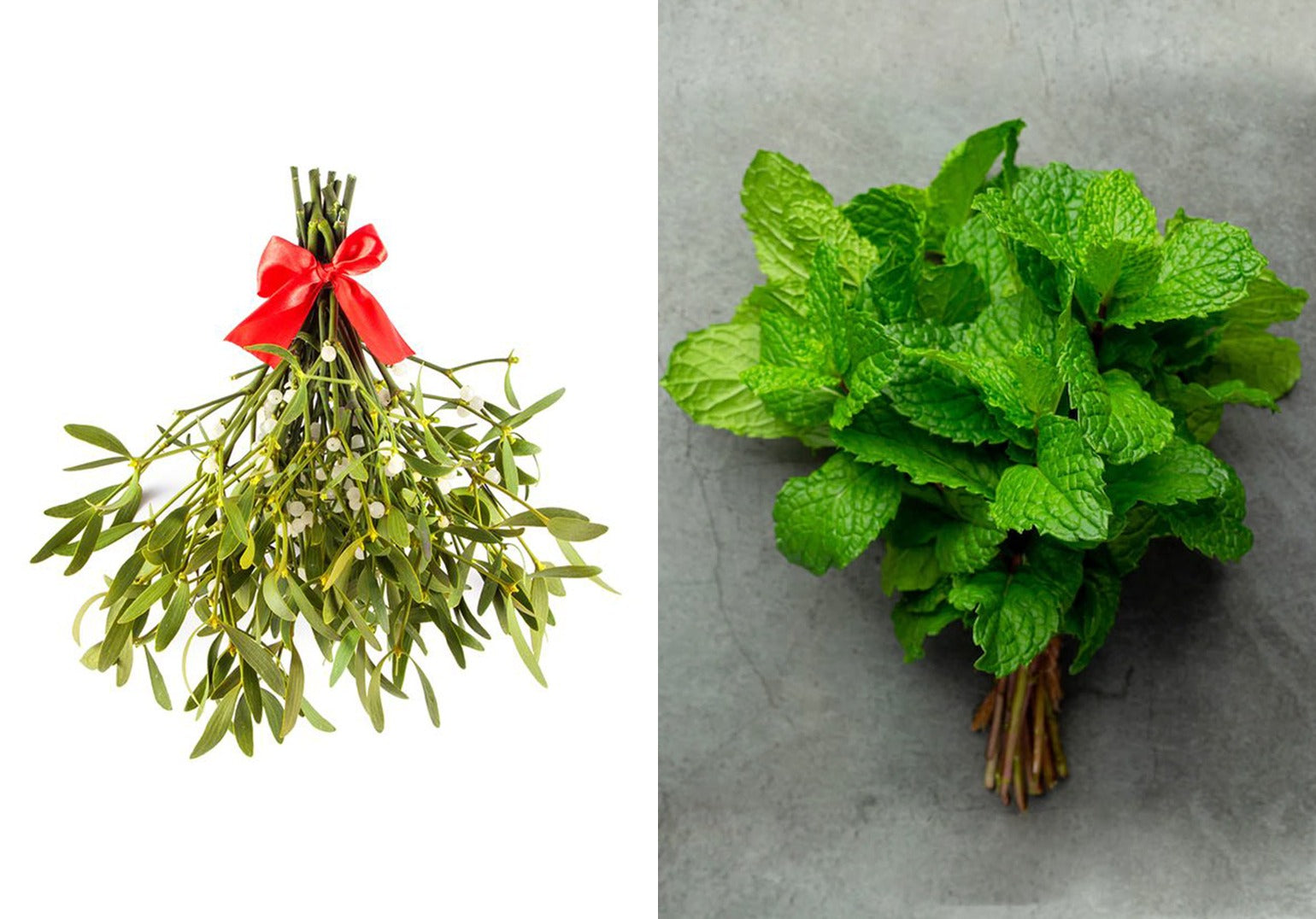 Christmas greens: From mistletoe to mint