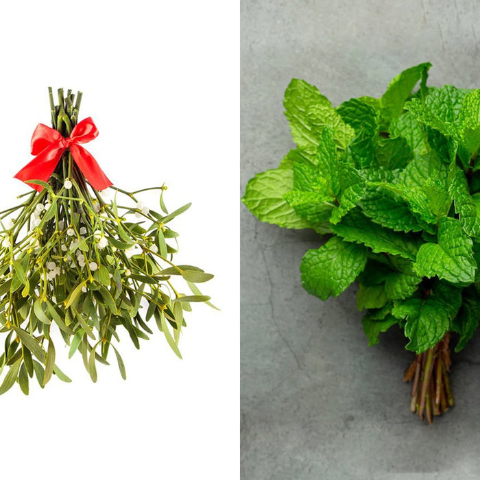 Christmas greens: From mistletoe to mint