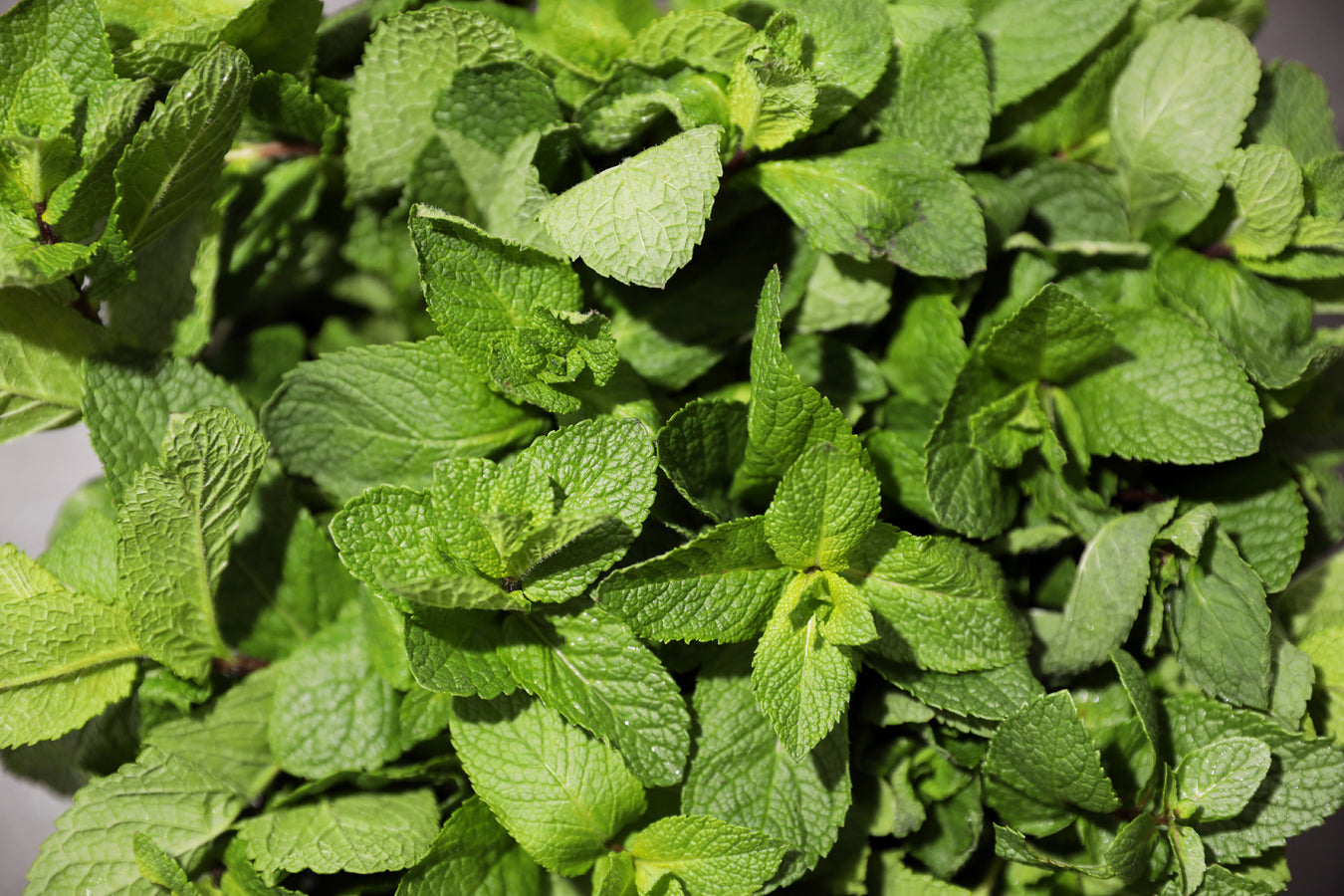 Flavours: Mint